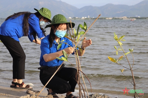Khánh Hòa trồng 2.000 cây xanh ứng phó với biến đổi khí hậu
